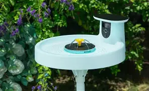 I Switched to the Birdfy Bird Bath Pro and Here is What Happened